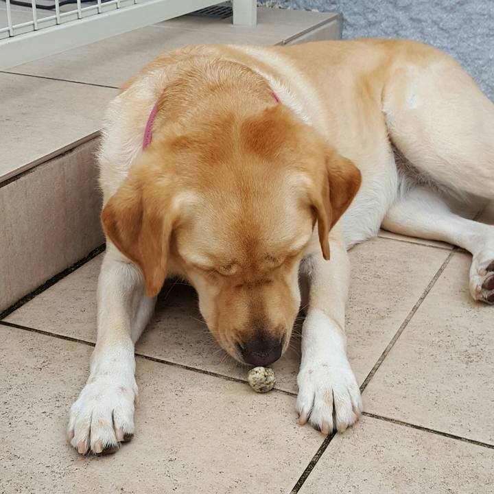 Cf7e493e f426 4f71 9937 c2b23cf9e0ba