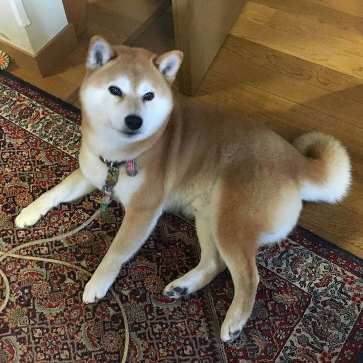 Cf7edbc8 82f2 44ed b8c1 17a7137bb7eb