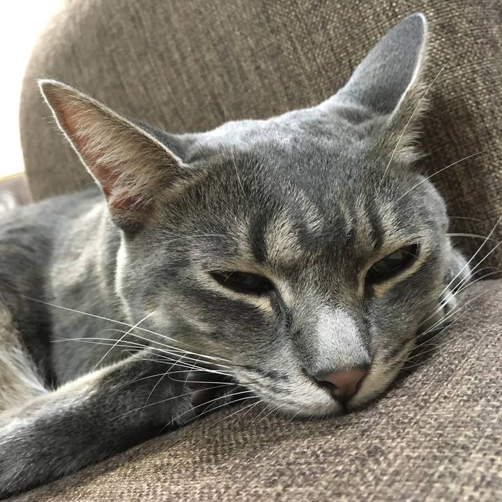 Cf7edcca a09c 42ee b825 ebbf4e1a3d35