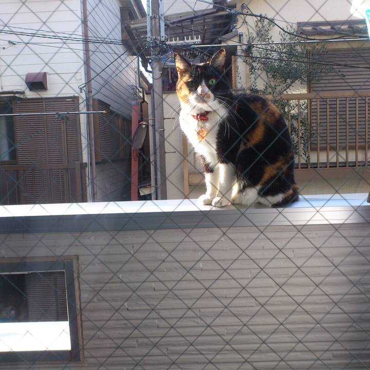 Cf7f775e 351a 4ae0 bddc ab0f82b40e7d