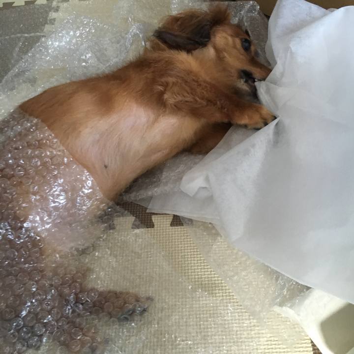 Cf7fa3cd 9532 46c4 8dec ebae72439ded