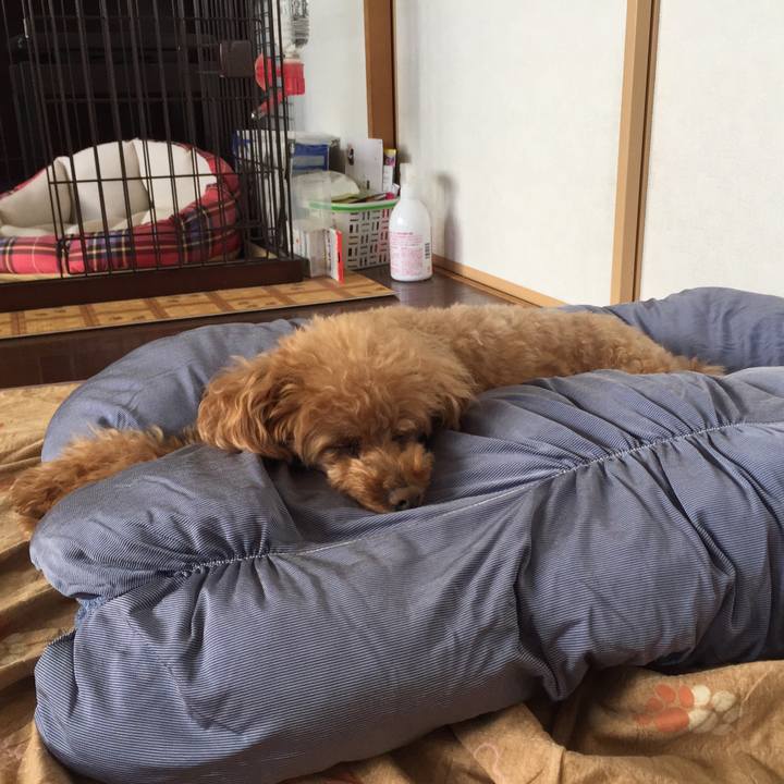 Cf8011fd 8dd1 4a5e 94b3 aef14ae866e8