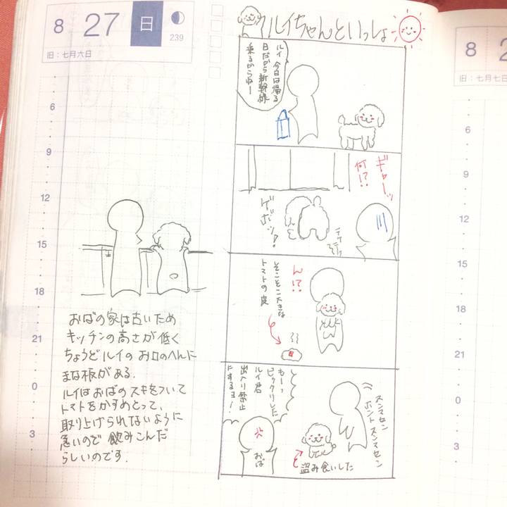 Cf8039d7 ed56 4ad0 92fb b0f018fefc50