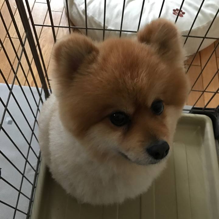 Cf804026 d192 4756 949e b219a132ce4c