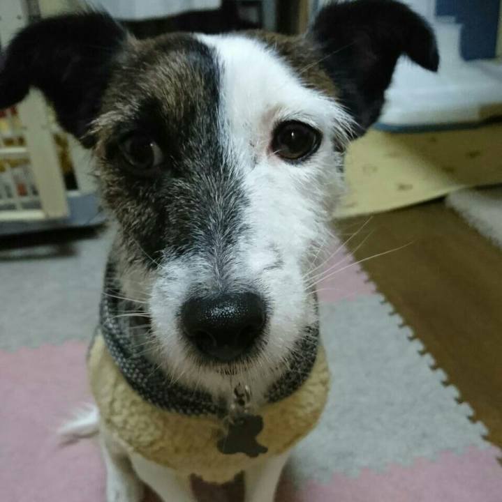 Cf80f6f8 313c 4480 9b6c 507bd3576cbc