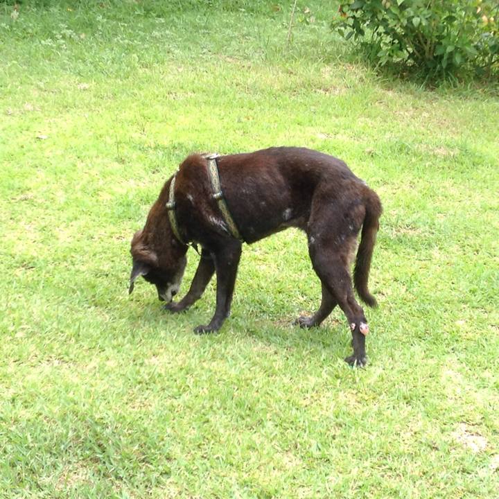 Cf81da18 ca09 4c42 b99f e7b91cf4efb1