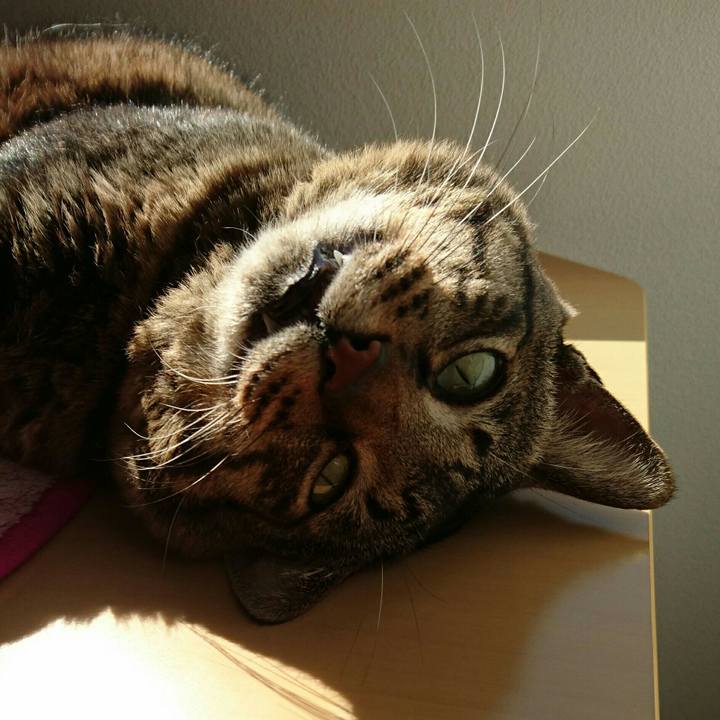 Cf8203d4 5736 4f2c 875b a8858cd6b9c2