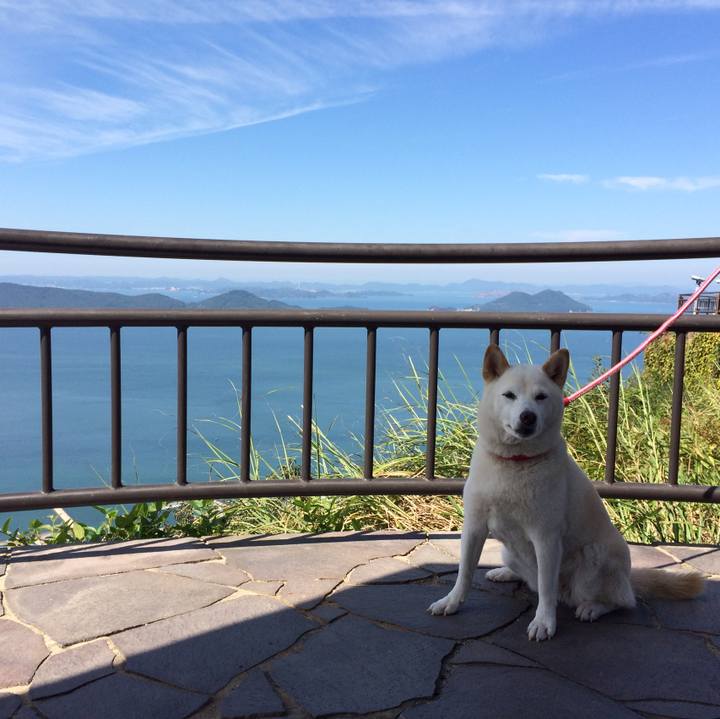 Cf824d5c 54ad 4a61 b330 12bb29d015b0