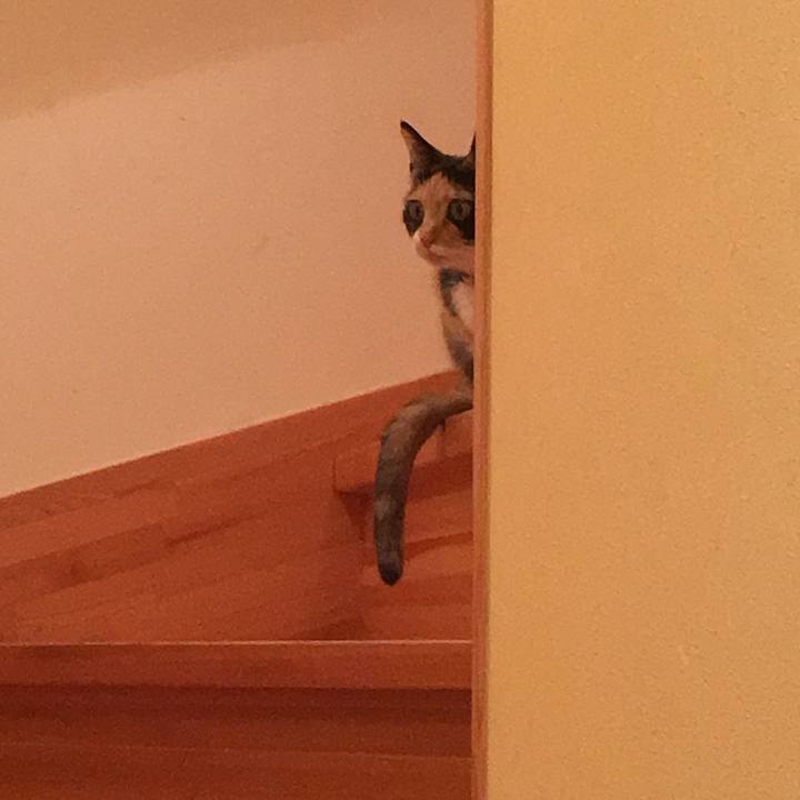 Cf8266cf d8b8 42e8 a0ac 3372d3faf96a