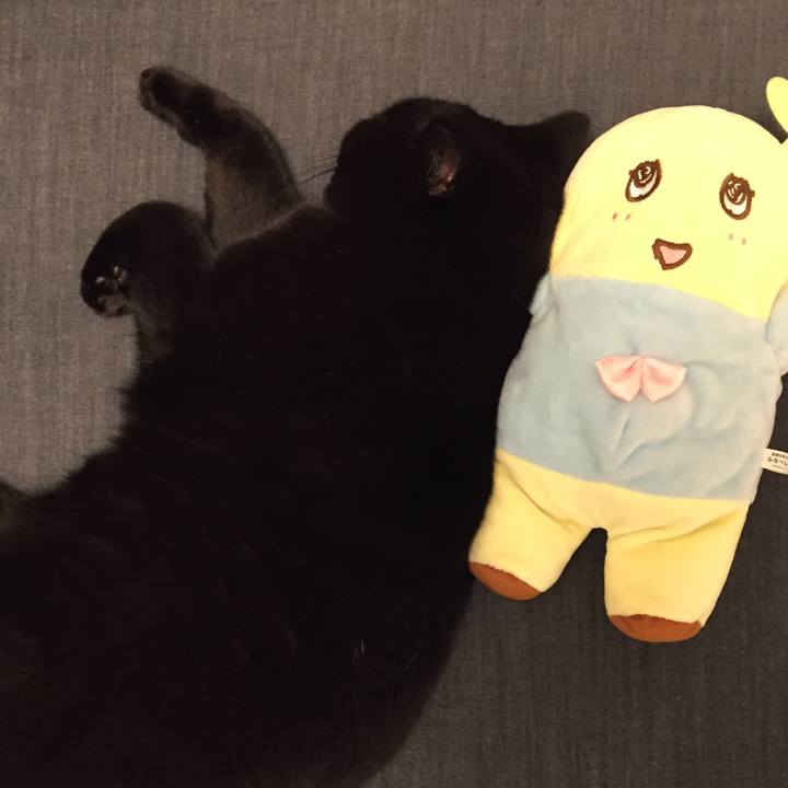 Cf82e49a 8f3e 4964 8330 0be522d7ebbd