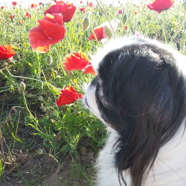 Cf836e45 027e 48c3 be26 7f43e1a08437