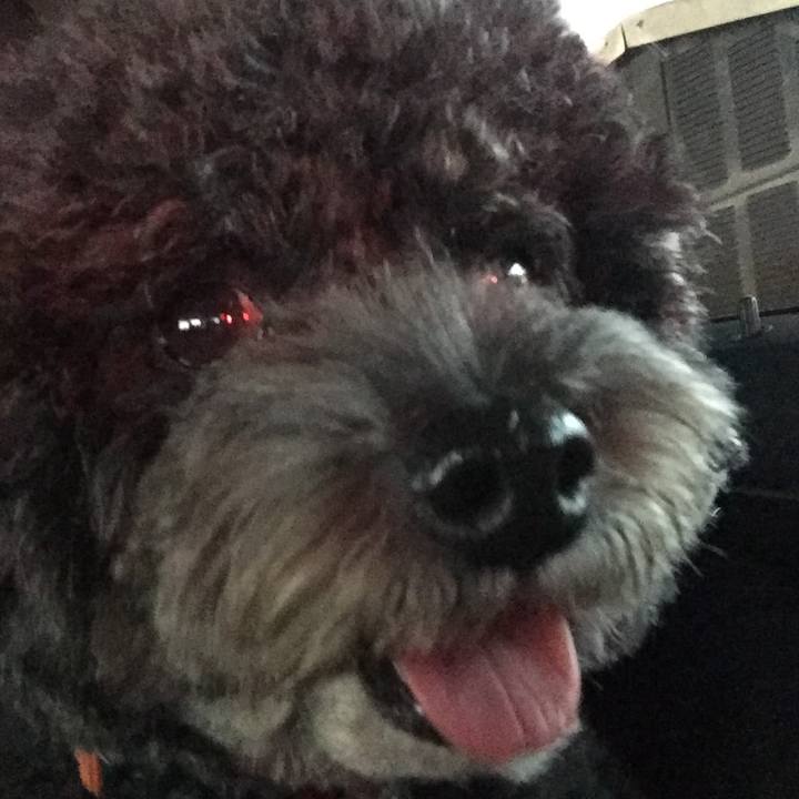 Cf83e413 860b 49c6 a125 ab4058594e2b