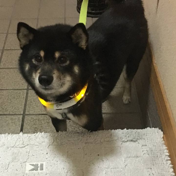 Cf8410cc 7ee6 4142 b9f9 4149e721ee1f