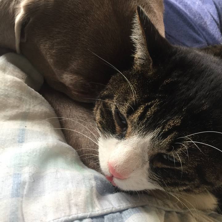 Cf841f47 a25d 4b9e b2e1 dba7b8a8a82d