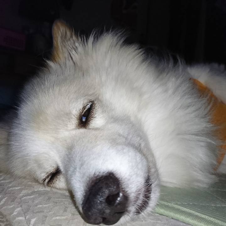 Cf8465cf 8bac 4fda b027 b156ba30374d