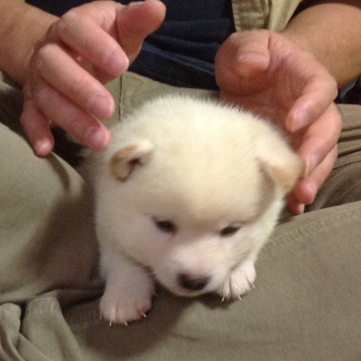 Cf846f87 ec92 48fb 9305 7191ed65793d