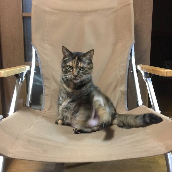 Cf84bcf0 fd1d 4572 a95d 4e491d2f441d