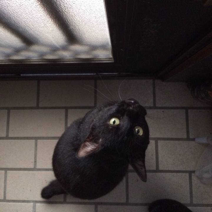 Cf8564ea fa89 4cbe 8f64 dcb8387ace53