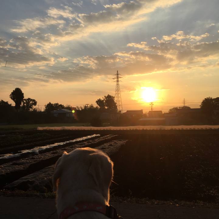 Cf8612e7 d445 4f91 b25c c9a3fd501c6a