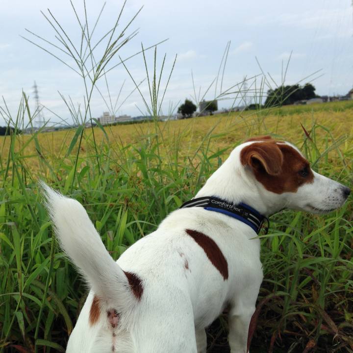 Cf8680aa a959 4e44 9858 7838fe46ca4a