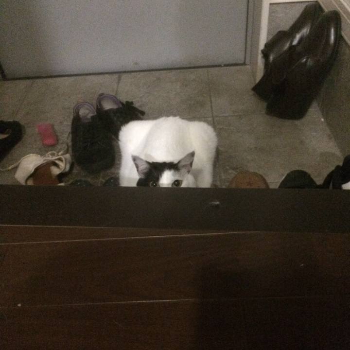 Cf874aac 9de8 4f05 a280 6601642a8969