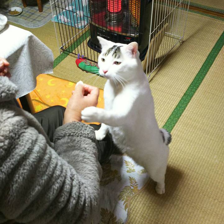 Cf877443 9ac6 40c7 b59d 0e50eb087251