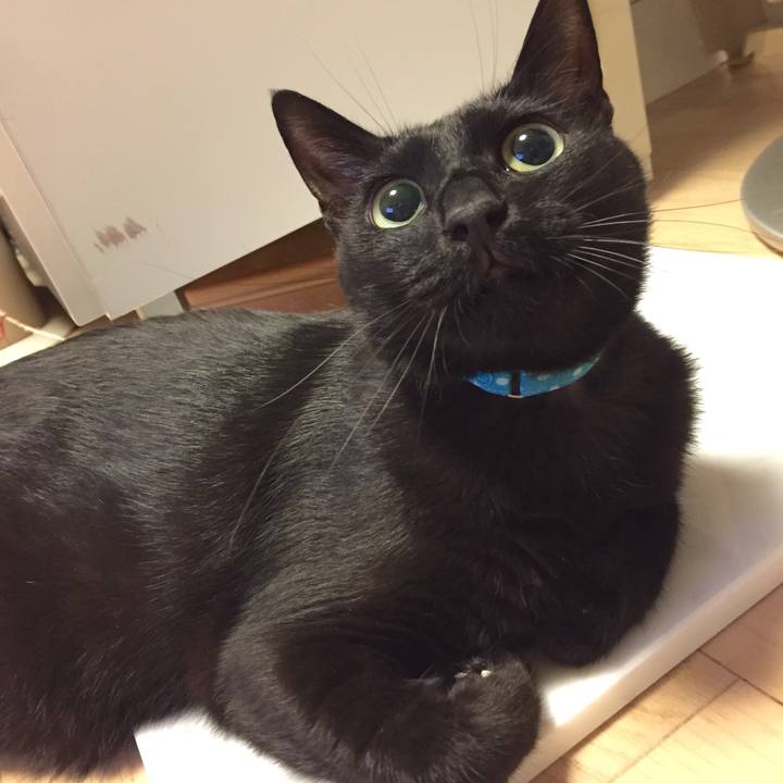 Cf87a5c0 d7d3 4f48 a4b5 520724166325