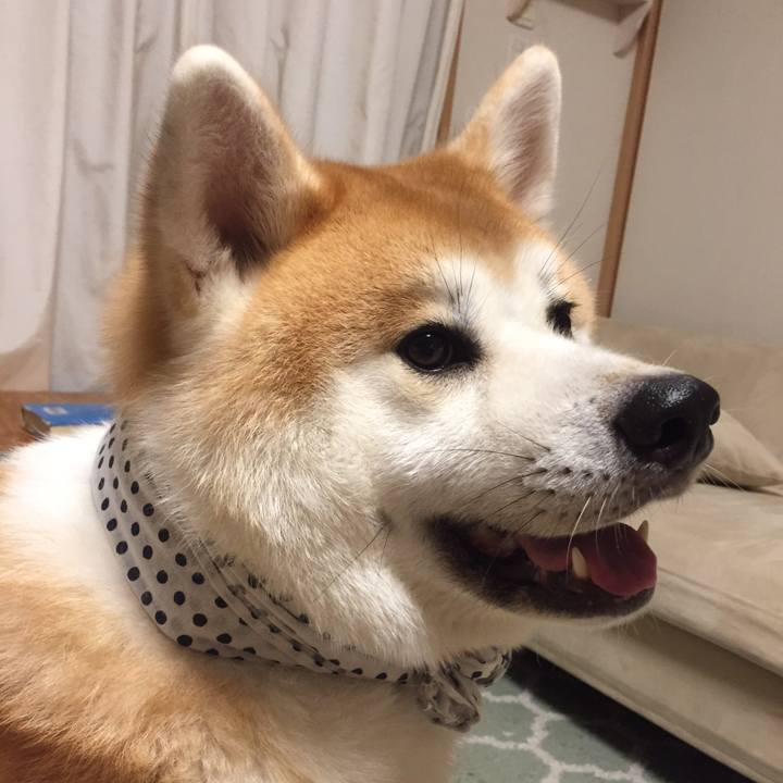 Cf87d95b f005 48e2 a664 696c685f009f