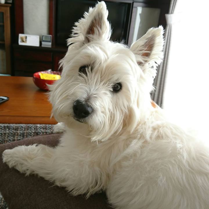 Cf87e181 3778 496d 84b4 e7db8bc7889b