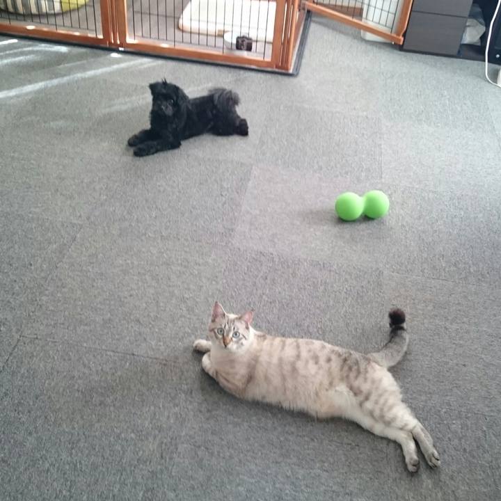 Cf887a18 7a6b 4a94 b6d8 334fa8e41a24