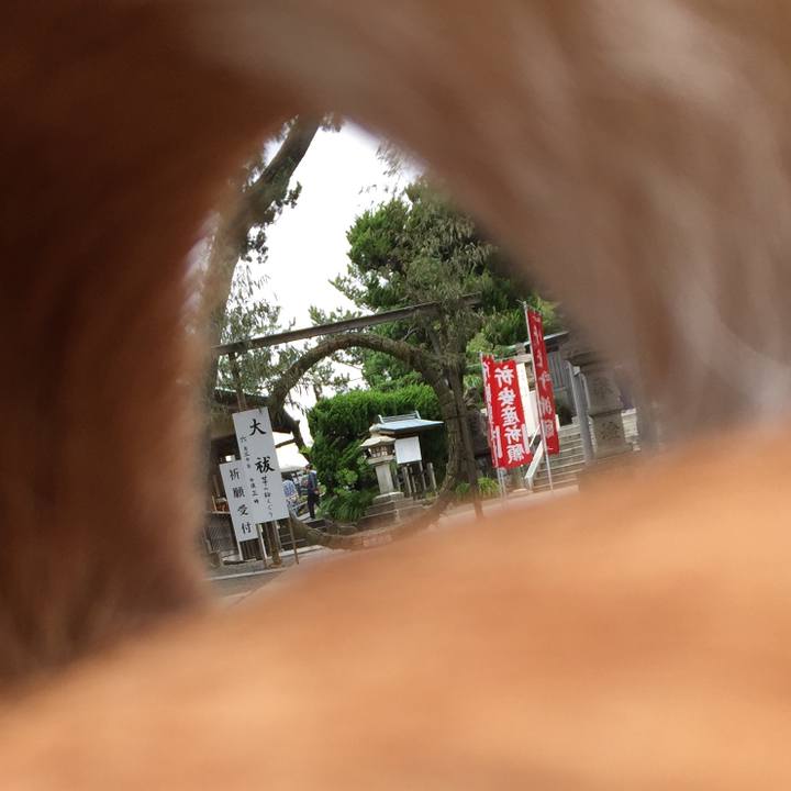 Cf889847 fe3f 4a7c be81 53838f621a60