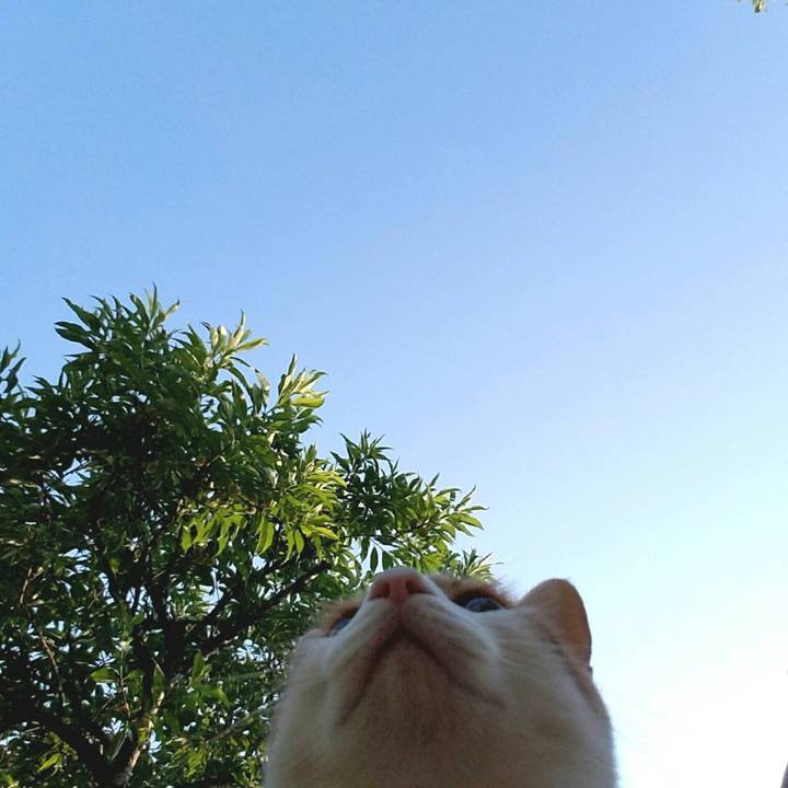 Cf88d550 aa8d 4dd7 ba8f 8de70d3370c6