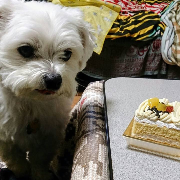 Cf891552 ee9e 45e0 a2af 9c13898c58b7