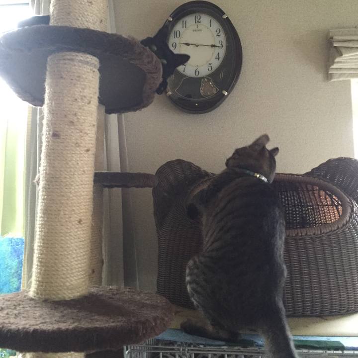 Cf8924f1 f76b 44b2 b925 64ce1b3446af