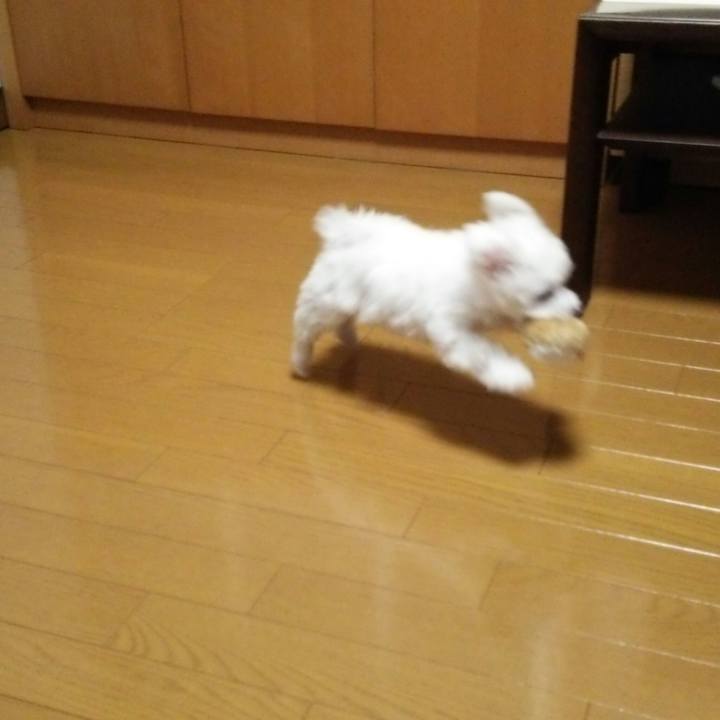 Cf897865 6533 41ea aa42 64b8c950e36f