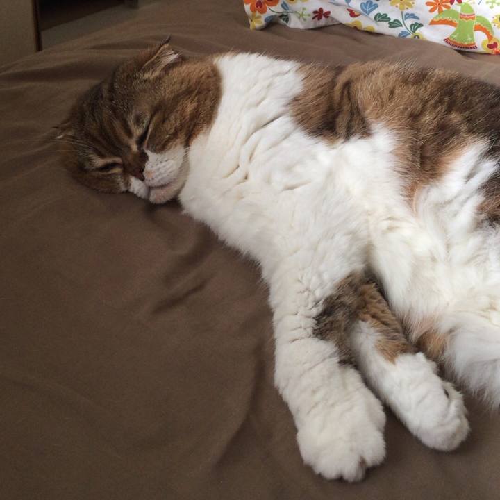 Cf89a625 49b6 48f0 b7eb 3fc8b135749b