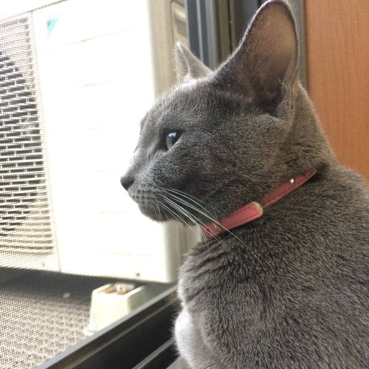 Cf8a0951 9ce5 4dd2 84fd 1e5134f53e3a