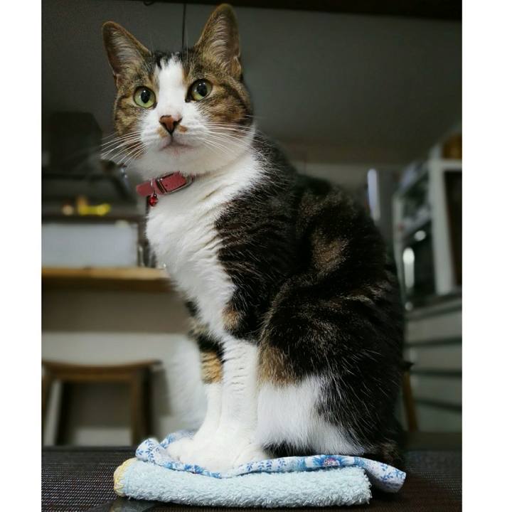 Cf8b5887 ec47 4e3f 868d 93d8baf9a7b7