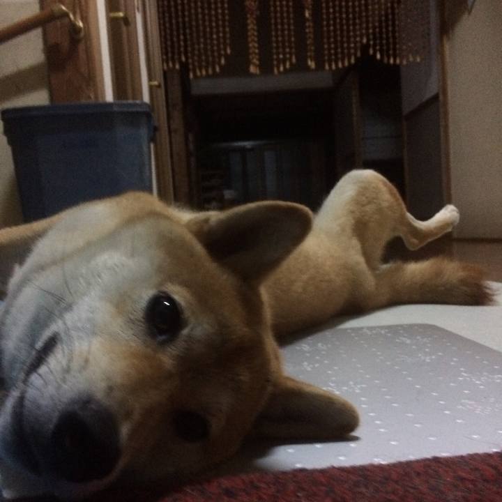 Cf8b93e4 824f 4b13 b2ec 55f4e470f57b