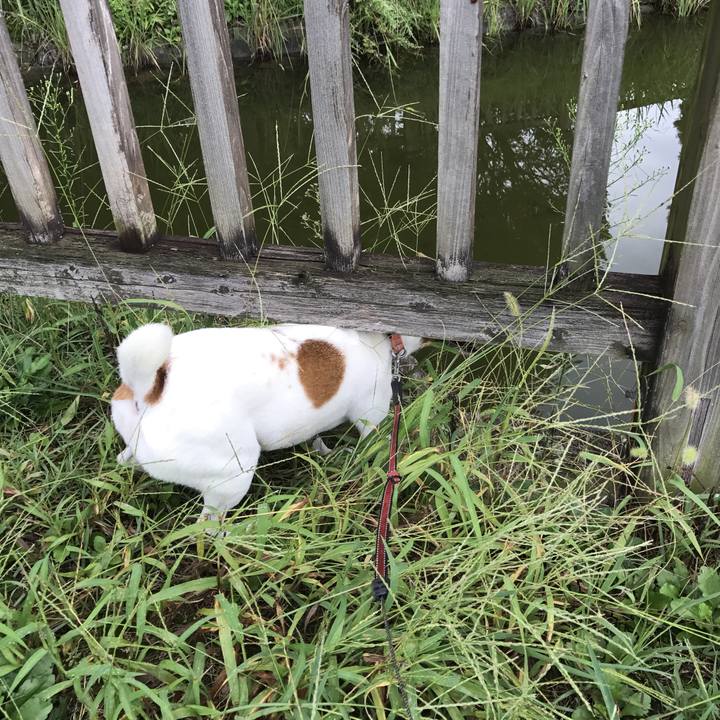 Cf8ca128 46f8 4619 81fc b4ff7e3c73b4