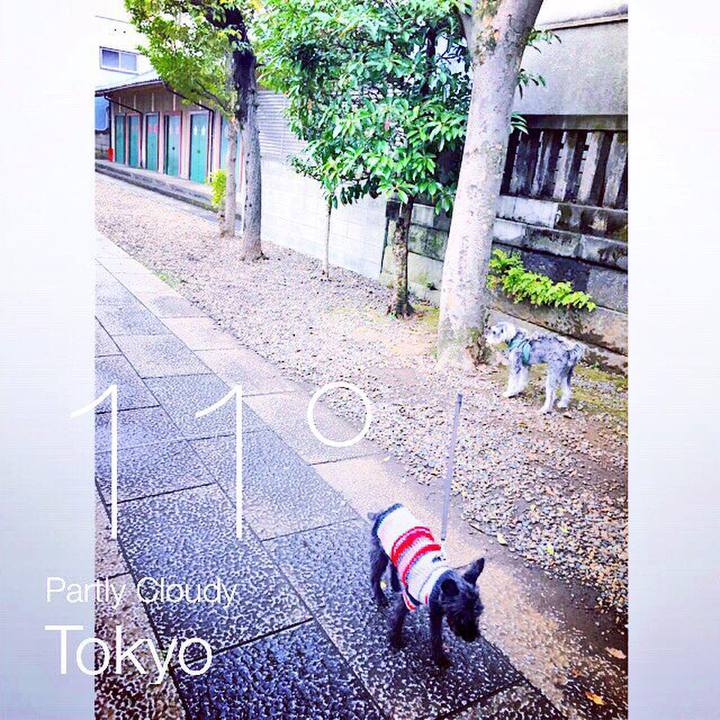 Cf8e1f0c 542b 4b5d bc44 4621a16ee853