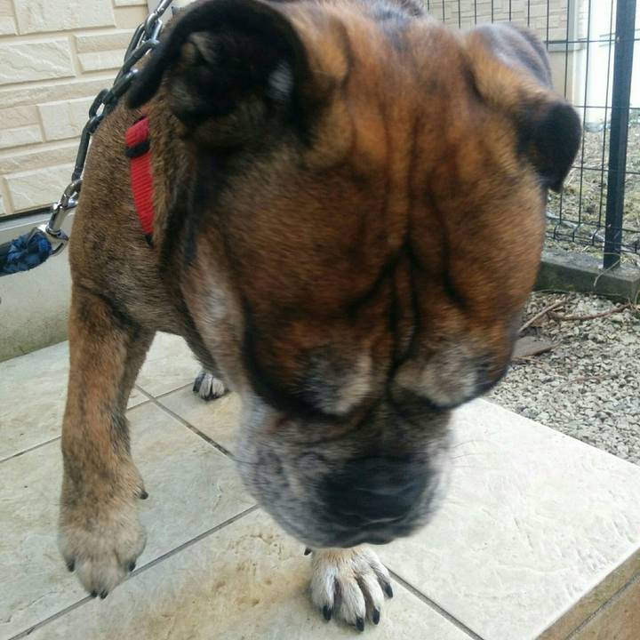 Cf8e2c0c 40bc 4cc0 b7bd f70fb7096539