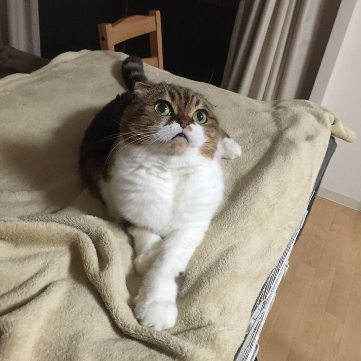 Cf8e3ce6 68f5 4a36 935f aaffed9ec306