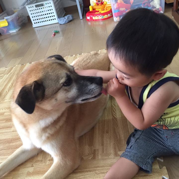 Cf8eb1d9 c0d1 4fc7 aad7 9b055fe23a03