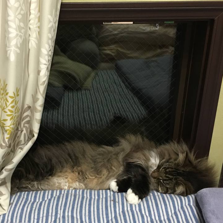 Cf8f70d7 2045 43d9 92e8 b570c4df7ddd