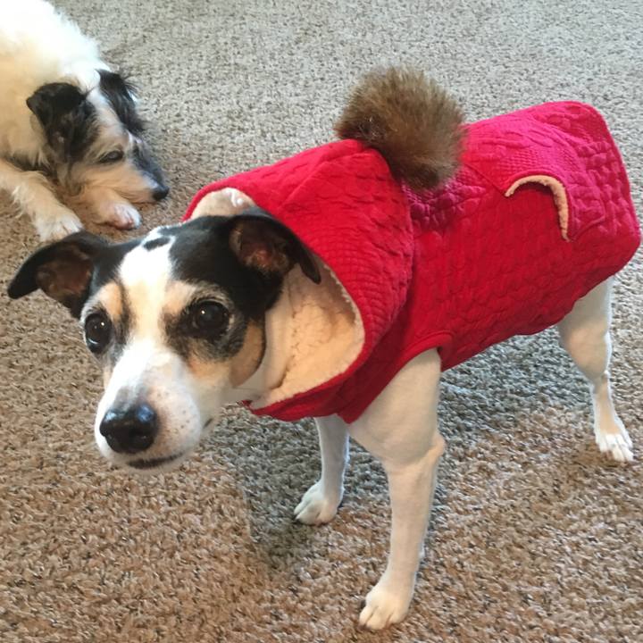 Cf8fd2a7 e4ed 4357 b91d a69e6a493bbb