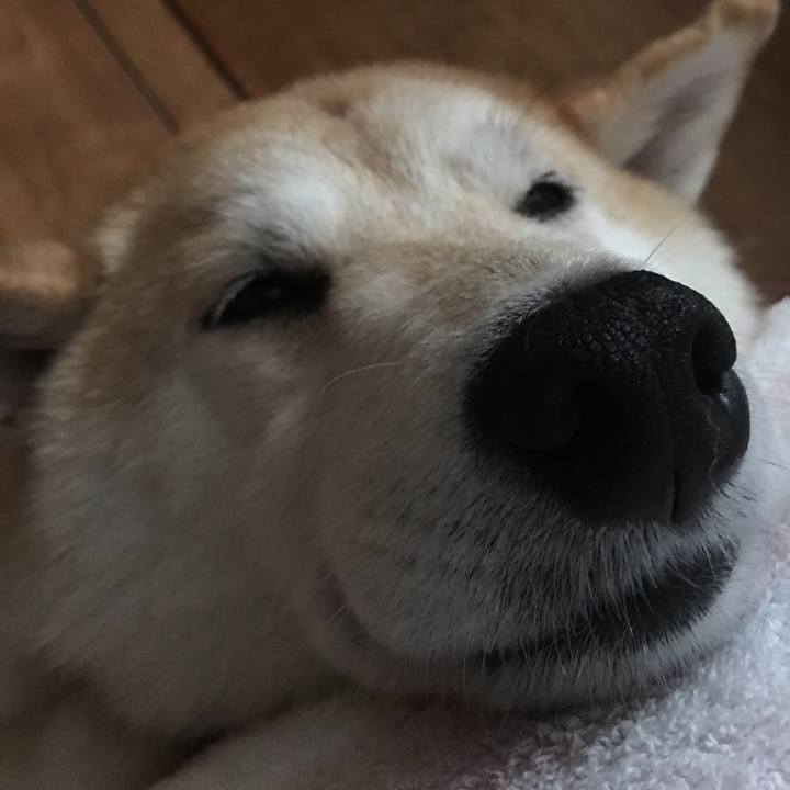 Cf90689f f962 4e69 8b0d cd408c149886