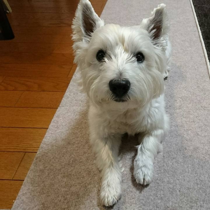 Cf91699a 5794 424a 97b6 9f5e9e431724