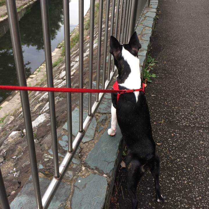 Cf91882f 8082 4515 a40c 67d76c5aa0df