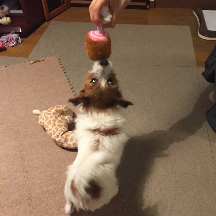 Cf91f614 05ec 46ef b292 1c30034e647e